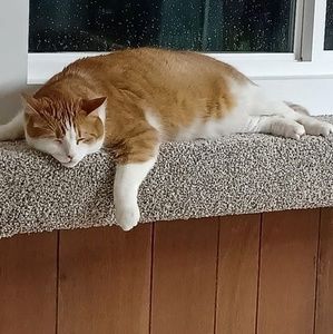 Meet your Posher, Glenn